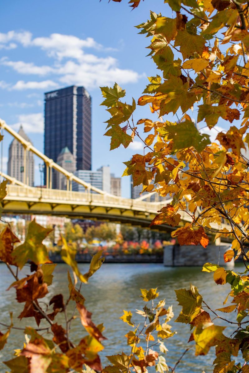 Pittsburgh Bridges and Beauty (Photo Gallery)