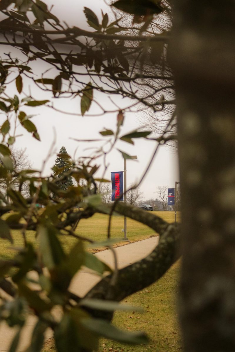 A Gloomy Day on Campus (Photo Gallery)