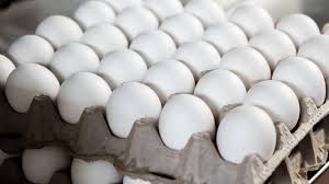 100,000 Eggs Stolen in Pennsylvania